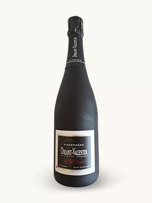 Champagne Extra-Brut Blanc de Meuniers